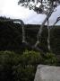 gal/Ile Maurice/_thb_SP_A0030_Black_River_Gorges.jpg